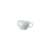 Tee-Obertasse