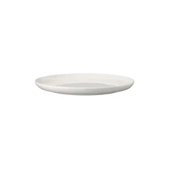 Teller 21 cm